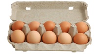 Eier