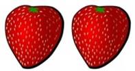 Erdbeeren & Beerenobst