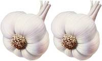 Knoblauch