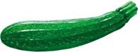 Zucchini