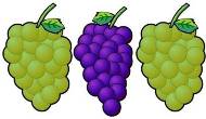 Wein ros�