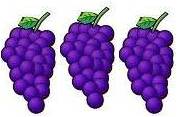 Rotwein