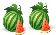 Melonen