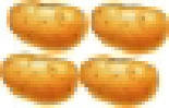Bio Kartoffeln