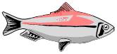 Fisch