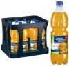 Gaensefurther Aktiv Tropic