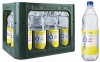 Spreequell Tonic 12x1