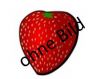 Heidelbeeren 
