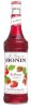 MONIN Sirup Erdbeere